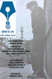 12 More of the Best Irish Literary Magazines You Should Read and Support