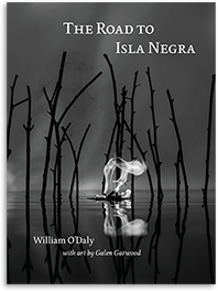 The Road to Isla Negra by William O'Daly